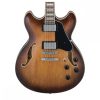 Semi Hollow Electric Guitar