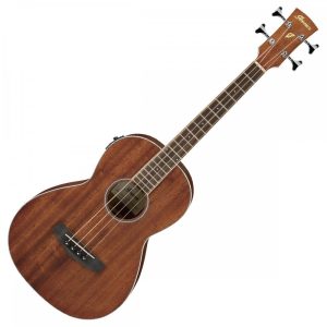 Ibanez PNB14E-OPN Parlor Electro-Acoustic Bass - Open Pore Natural