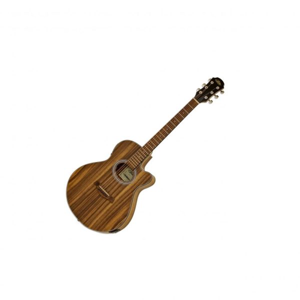 Aria FET-T1 Thin Body Electro-Acoustic Guitar with Teak Body