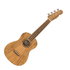 Fender Zuma Exotic Concert Ukulele