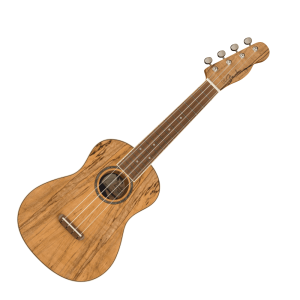 Fender Zuma Exotic Concert Ukulele