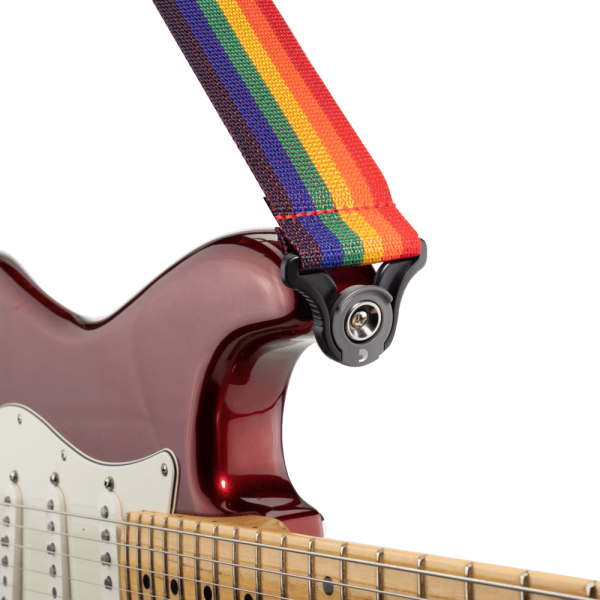 D'Addario Auto-Locking Polypro Guitar Strap in Rainbow