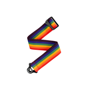 D'Addario Auto-Locking Polypro Guitar Strap in Rainbow