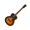 Aria 151 Lil' Acoustic Guitar