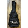 Valencia 3/4 Size Classical Guitar Gig Bag