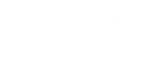 DSM Noisemaker