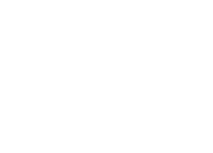 Faith Guitars