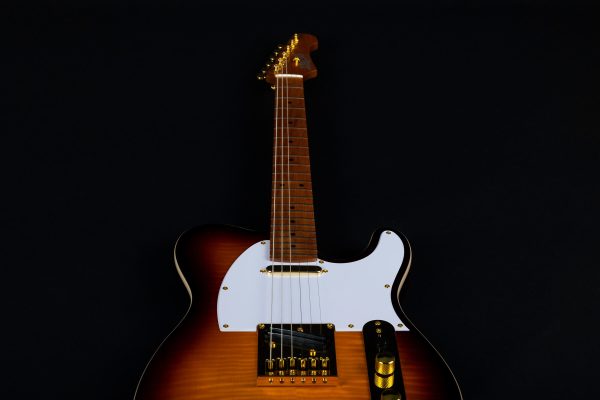 JET JT600BSG Single-Cut Electric Guitar, Gold Hardware, Tobacco Burst