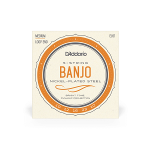D'Addario EJ61 5-String Nickel-Plated Steel Loop End Banjo Strings
