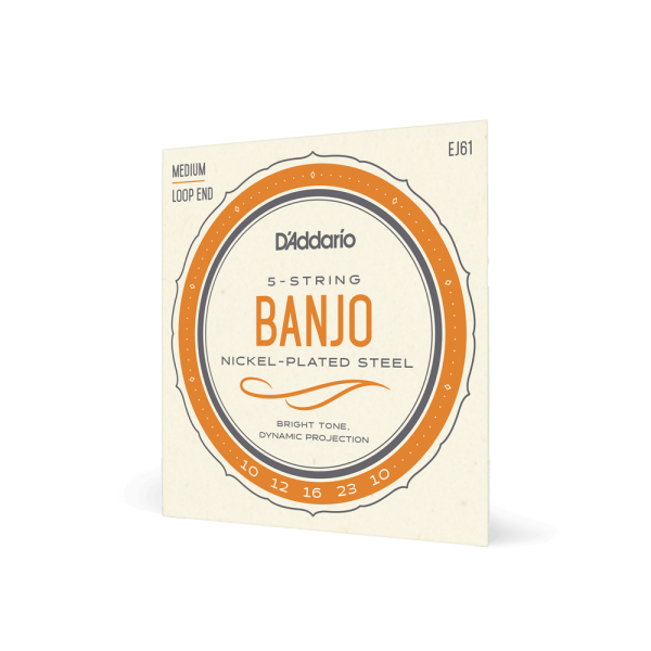 D'Addario EJ61 5-String Nickel-Plated Steel Loop End Banjo Strings